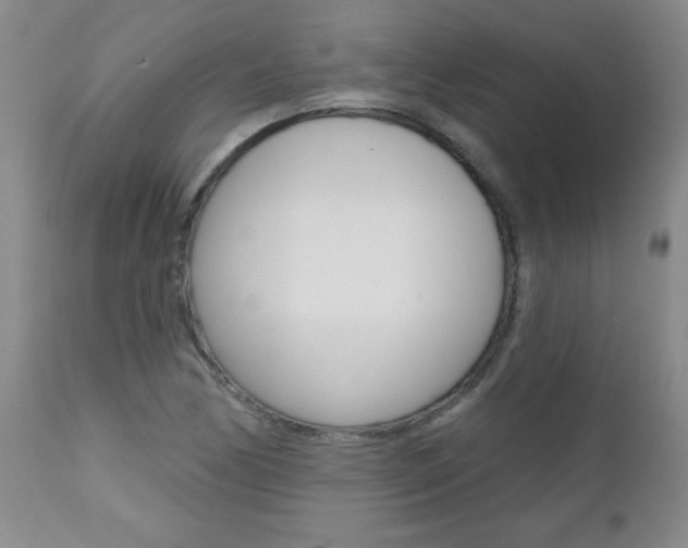 X0000112461170200908171009