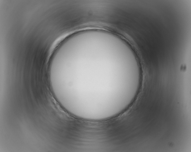 X0000112461172200908171009