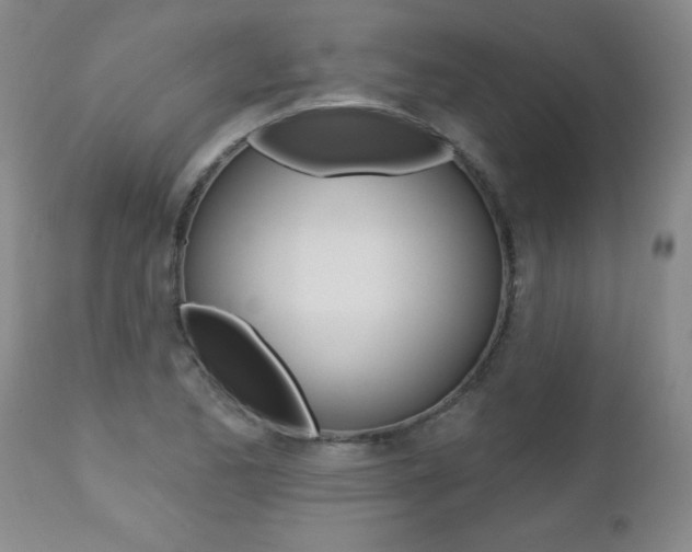 X0000112461173200908171009