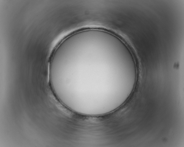 X0000112461175200908171009