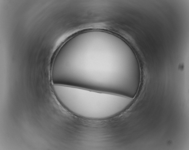 X0000112461176200908171009