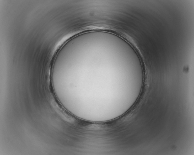 X0000112461179200908171009