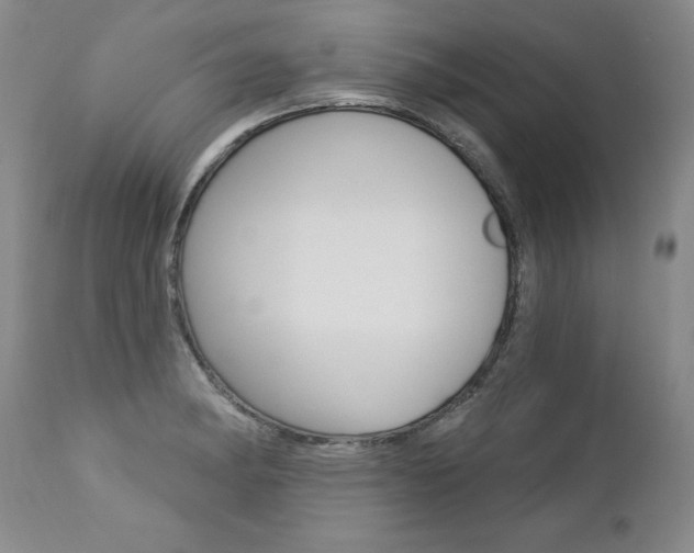 X0000112461182200908171009