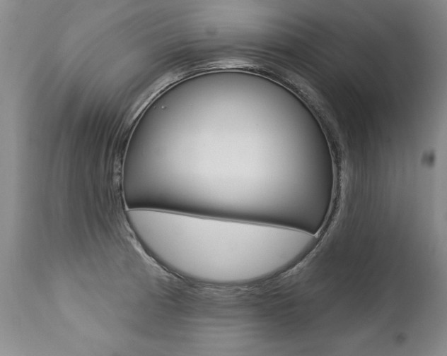 X0000112461185200908171009