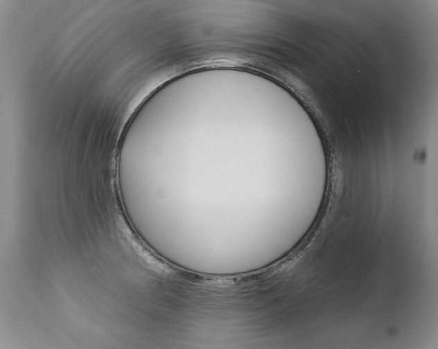 X0000112461186200908171009