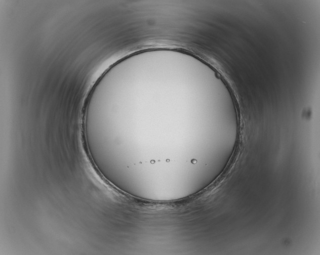 X0000112461187200908171009