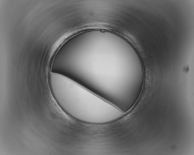X0000112461188200908171009