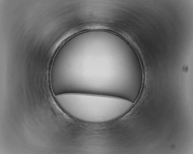 X0000112461189200908171008