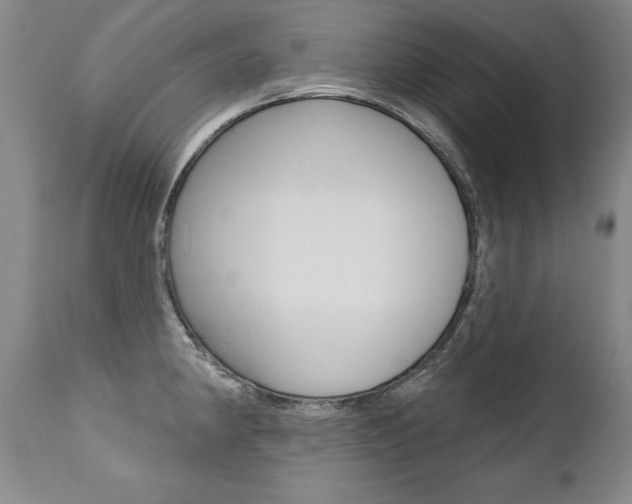 X0000112461190200908171008