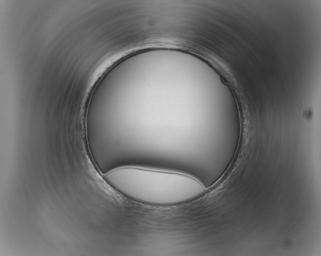 X0000112461192200908171008