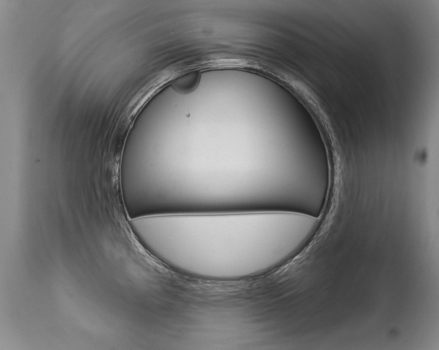 X0000112461193200908171008
