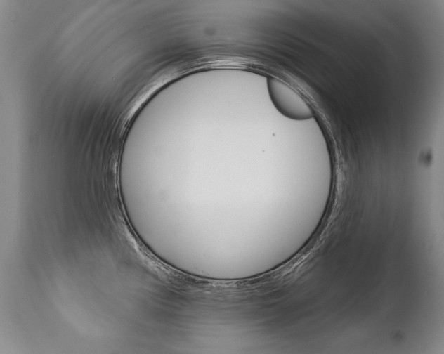 X0000112461194200908171008