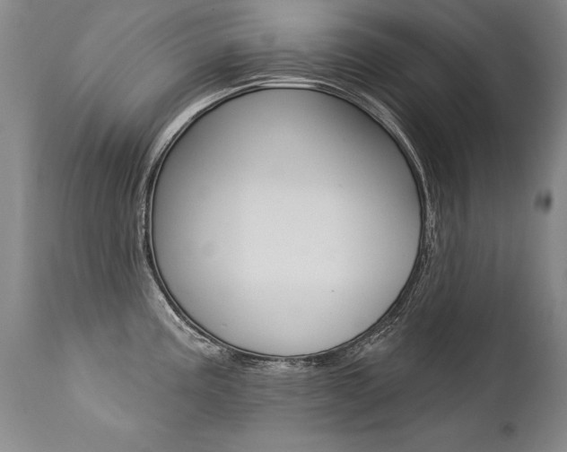 X0000112461195200908171008