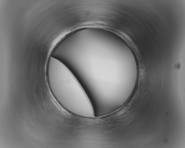 X0000112461196200908171008