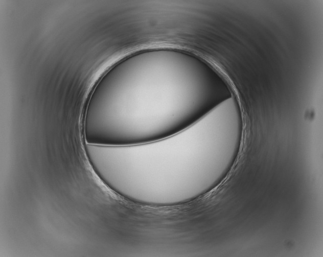 X0000112461197200908171008