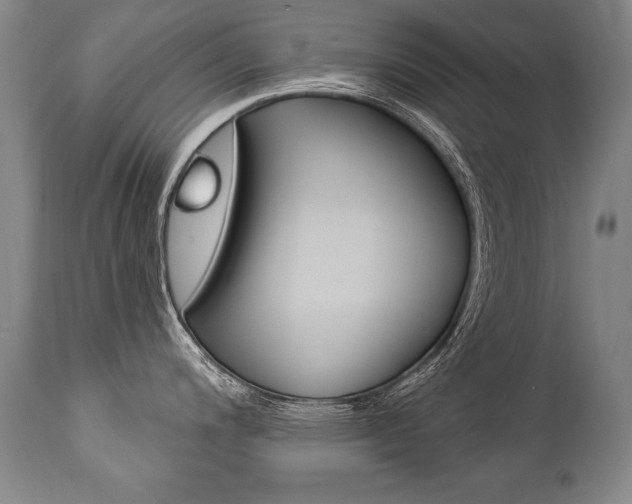 X0000112461200200908171008