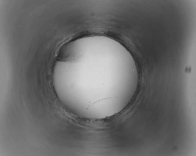 X0000112461201200908171008