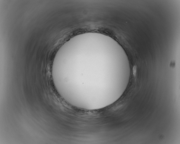 X0000112461203200908171008