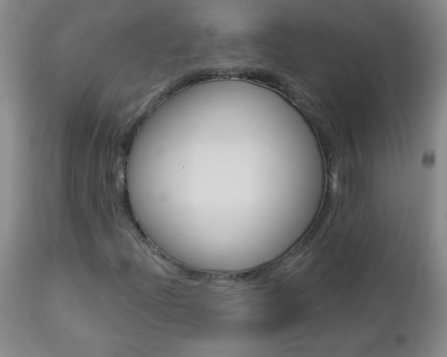 X0000112461204200908171008