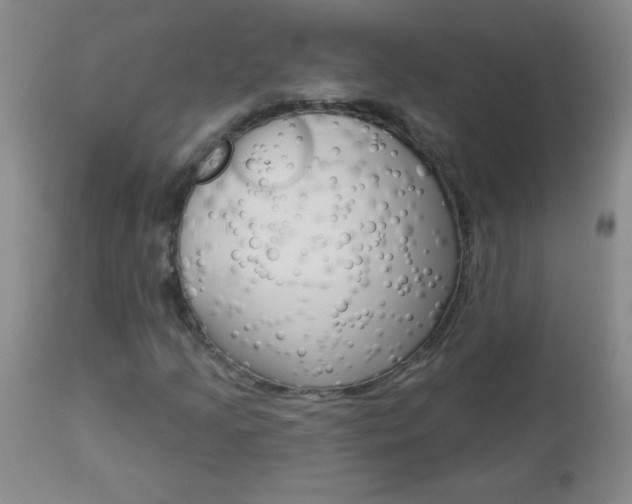 X0000112461205200908171008