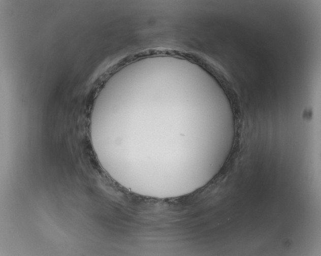 X0000112461207200908171008