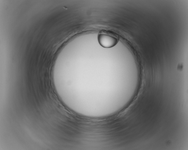 X0000112461209200908171008