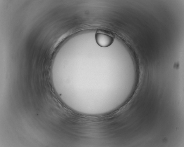 X0000112461210200908171008
