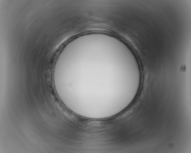 X0000112461211200908171008