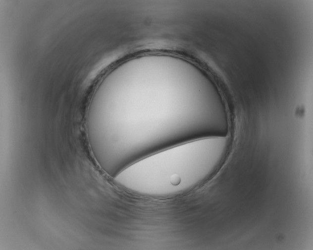X0000112461213200908171008