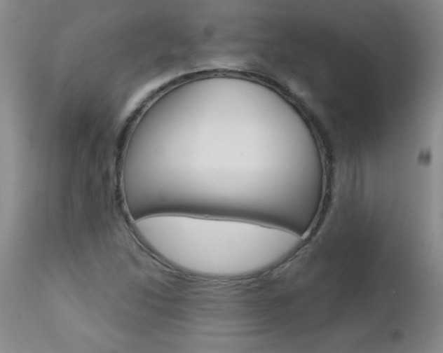 X0000112461214200908171008