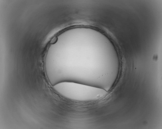 X0000112461215200908171008