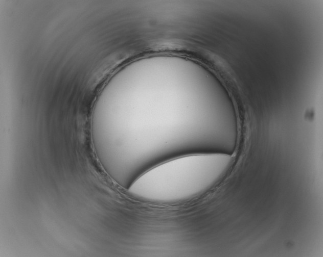 X0000112461217200908171008