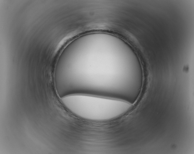 X0000112461218200908171008