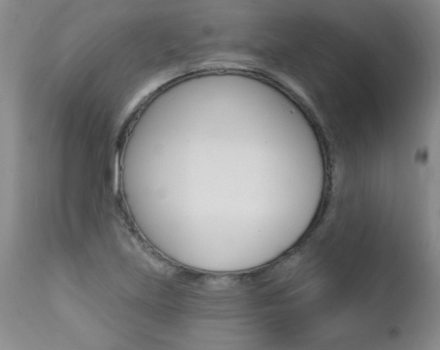 X0000112461219200908171008