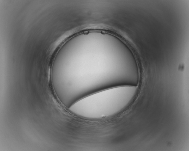 X0000112461221200908171008