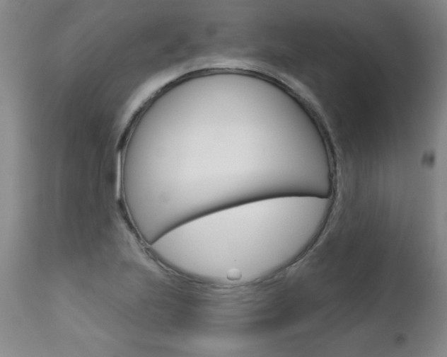 X0000112461223200908171008