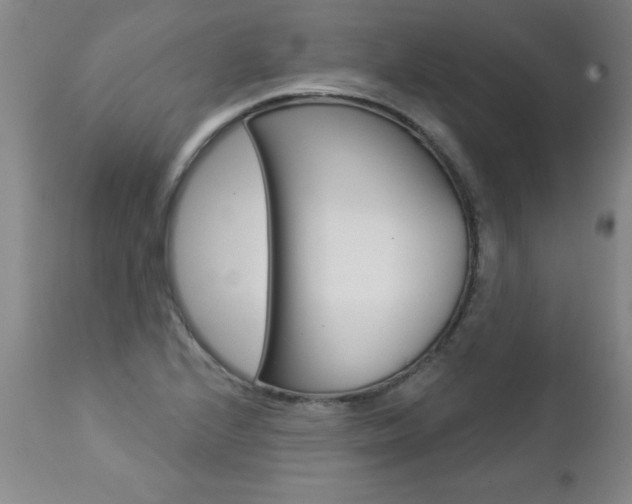 X0000112461224200908171008