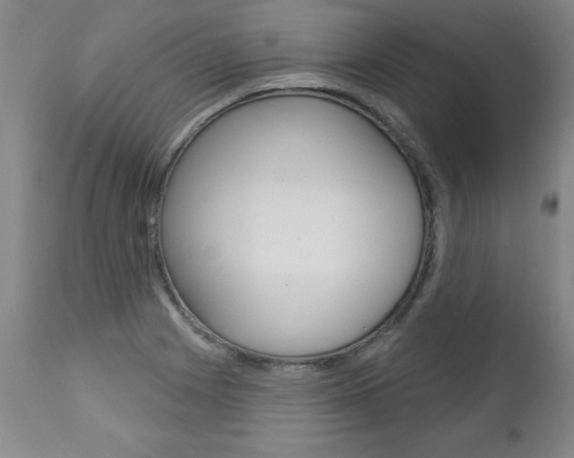 X0000112461225200908171008