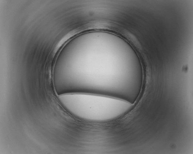 X0000112461226200908171008