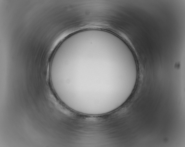X0000112461227200908171008