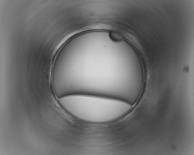 X0000112461228200908171008