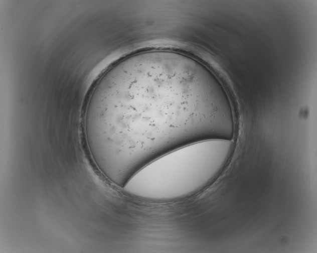 X0000112461229200908171008