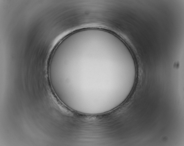 X0000112461230200908171008