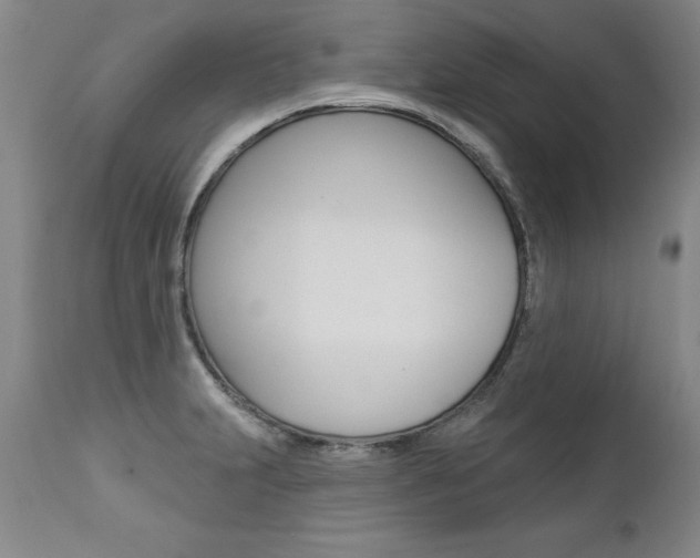 X0000112461231200908171008
