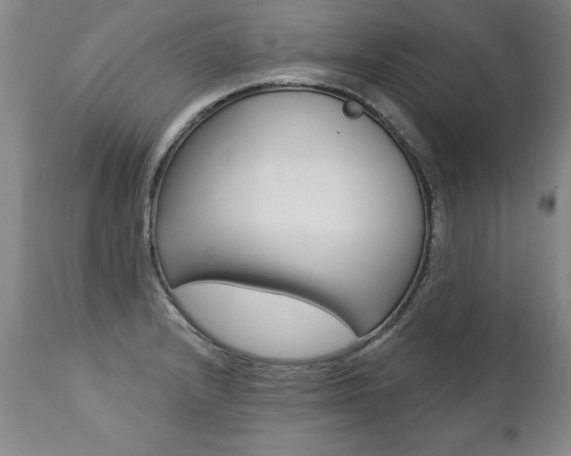 X0000112461232200908171008