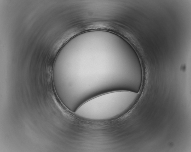 X0000112461233200908171008