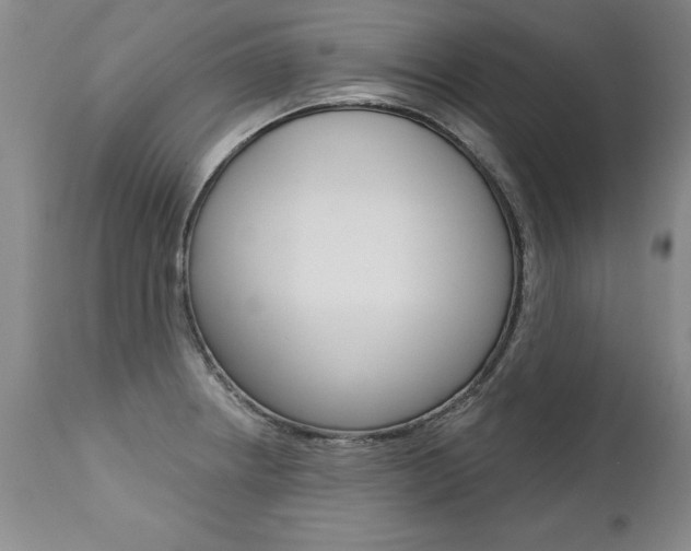 X0000112461234200908171008