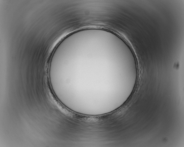 X0000112461235200908171008