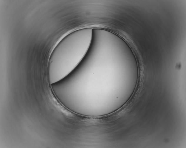 X0000112461236200908171008