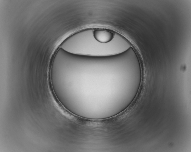 X0000112461237200908171008